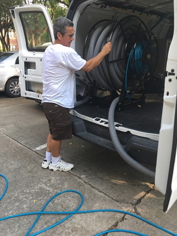 Webster carpet cleaners